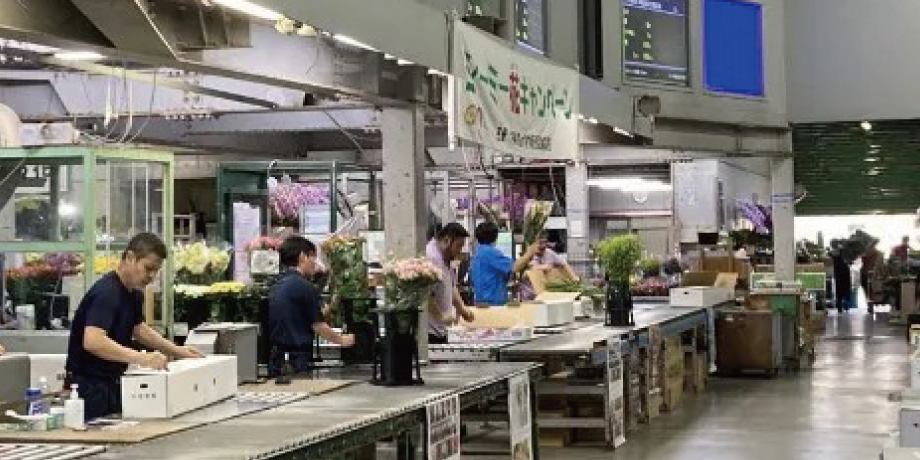 沖縄県くみあい生花株式会社メイン画像